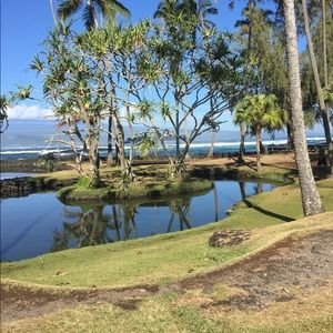 Meet your Posher, Faylynn